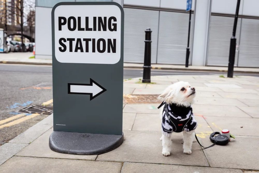 Elections 2026: A disaster for failing Labour and the dangerous rise of Reform Elections 2026: A disaster for failing Labour and the dangerous rise of Reform