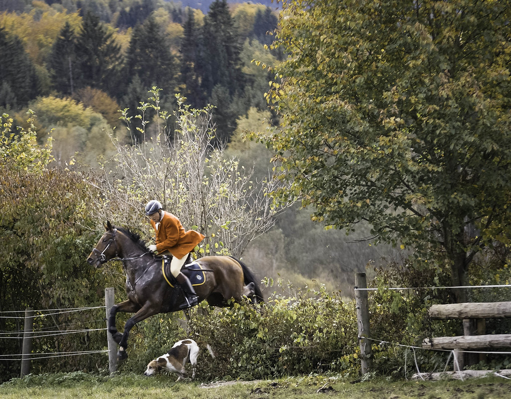 Foxhunting – the inside story from a hunt saboteur Foxhunting – the inside story from a hunt saboteur