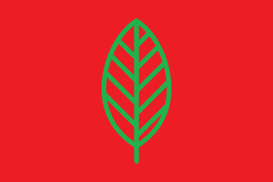We need a socialist future to fix the planet We need a socialist future to fix the planet